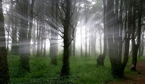 Back to Nature, Merging Traditional and Modern Lifestyles